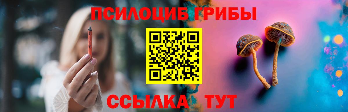 Галлюциногенные грибы Magic Shrooms Звенигород